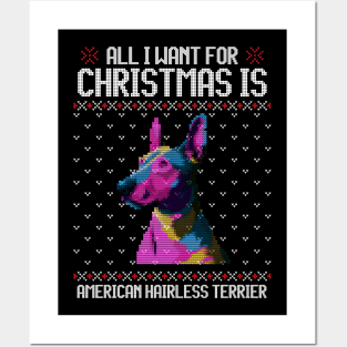 All I Want for Christmas is American Hairless Terrier - Christmas Gift for Dog Lover Posters and Art